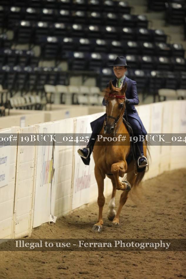 Proof 19BUCK_02425