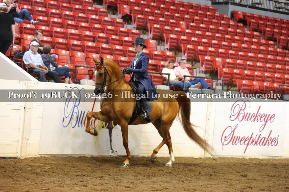 Proof 19BUCK_02426