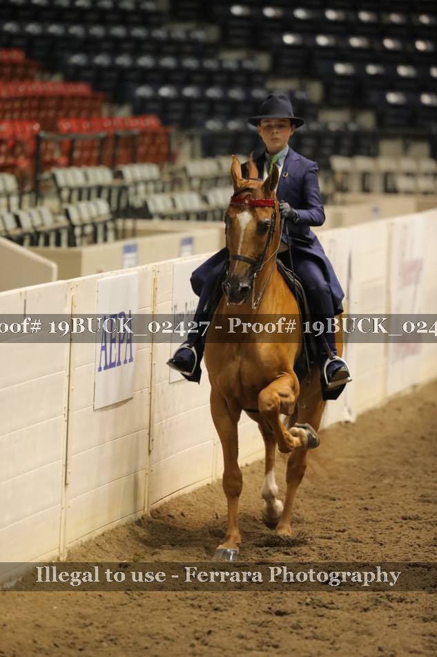 Proof 19BUCK_02427