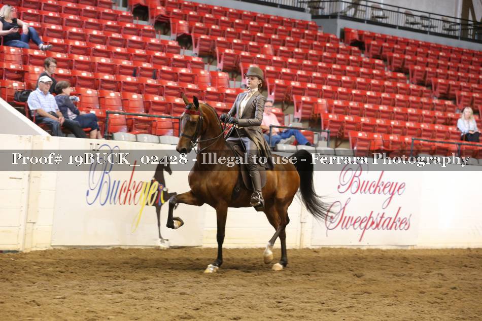 Proof 19BUCK_02428