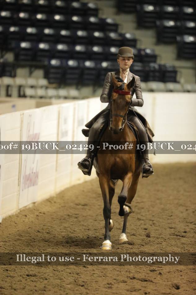 Proof 19BUCK_02429