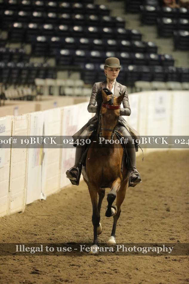 Proof 19BUCK_02430