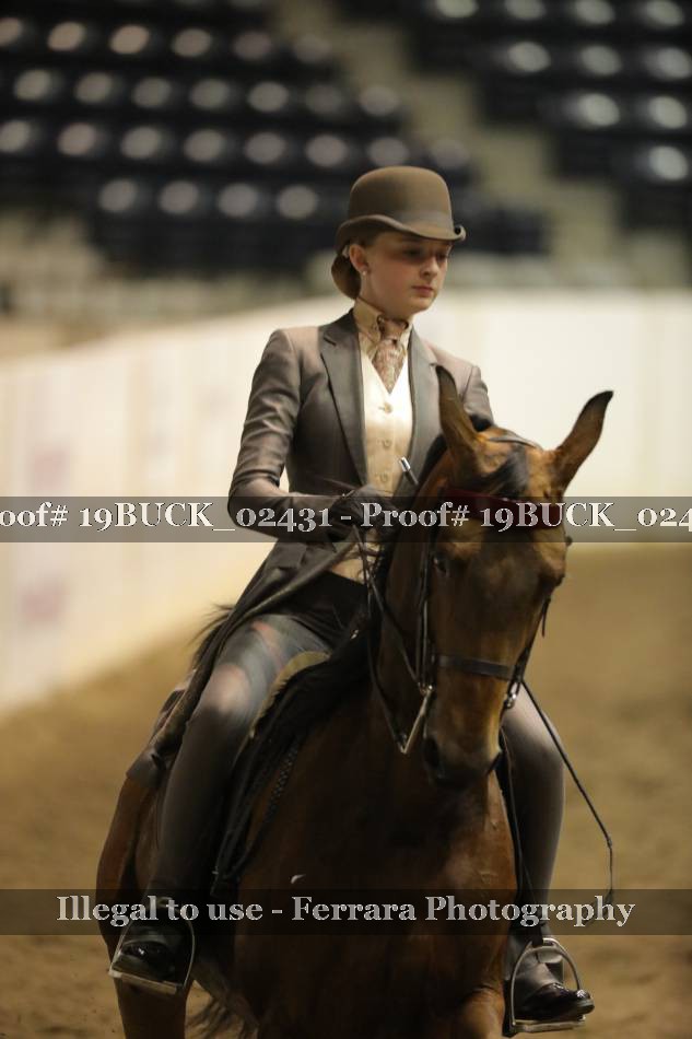 Proof 19BUCK_02431