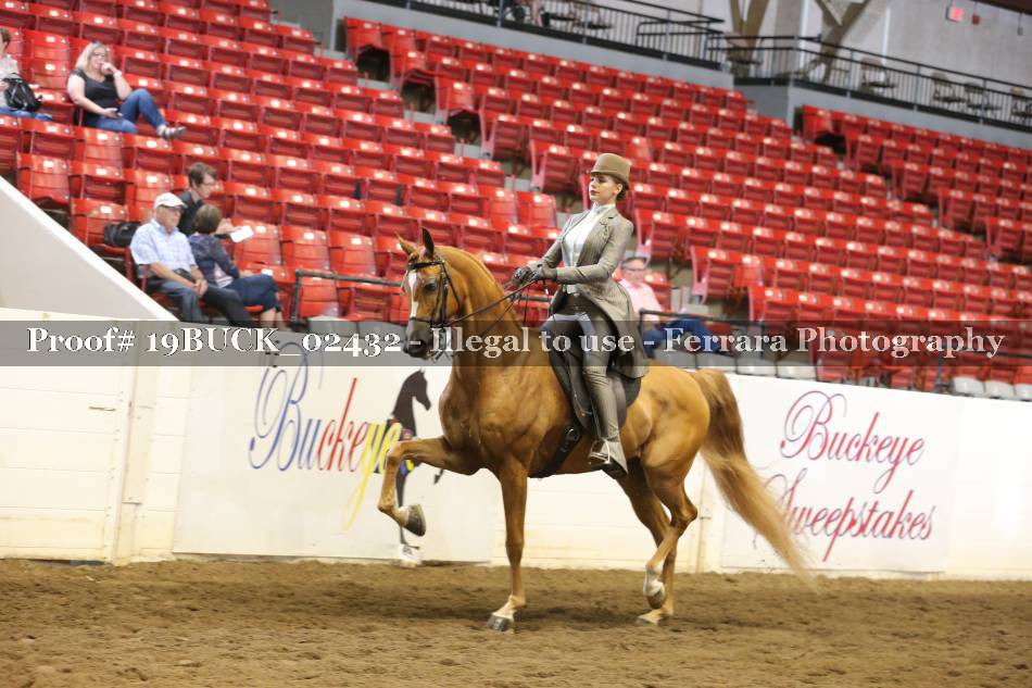 Proof 19BUCK_02432