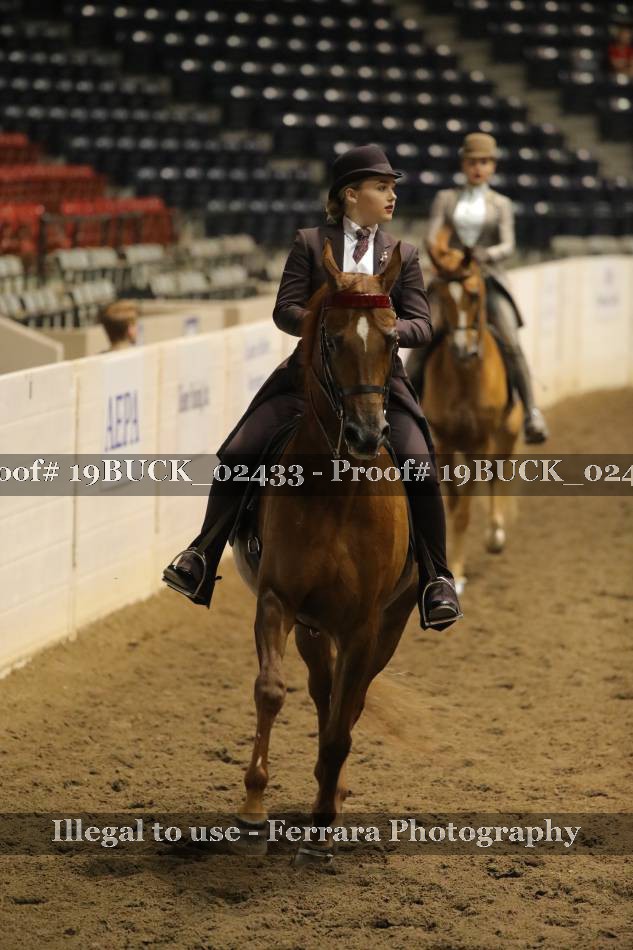 Proof 19BUCK_02433