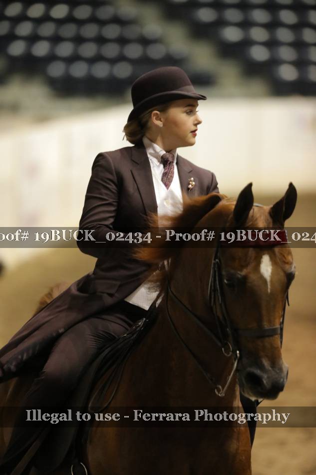Proof 19BUCK_02434