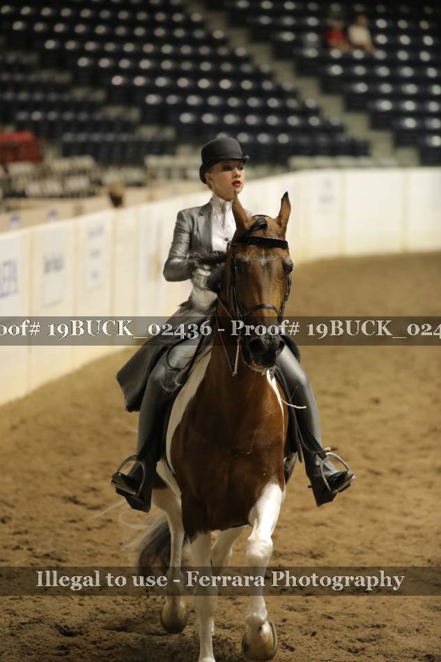Proof 19BUCK_02436