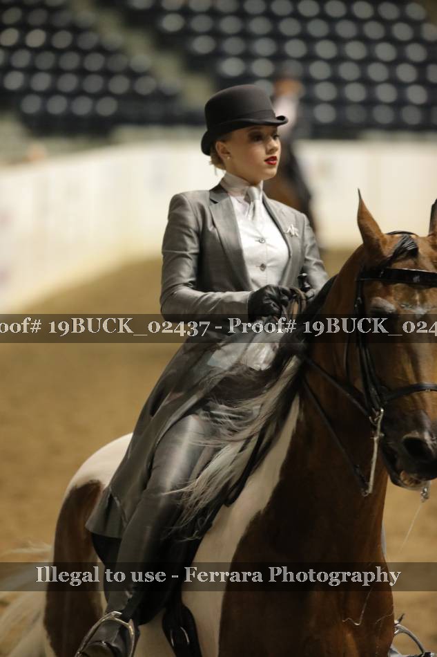 Proof 19BUCK_02437