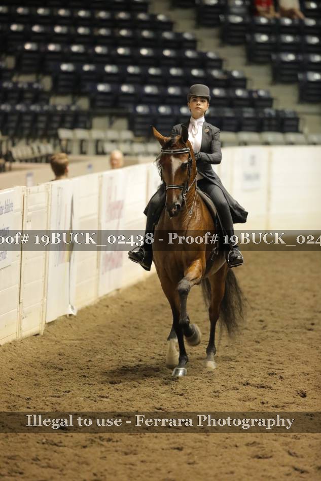 Proof 19BUCK_02438