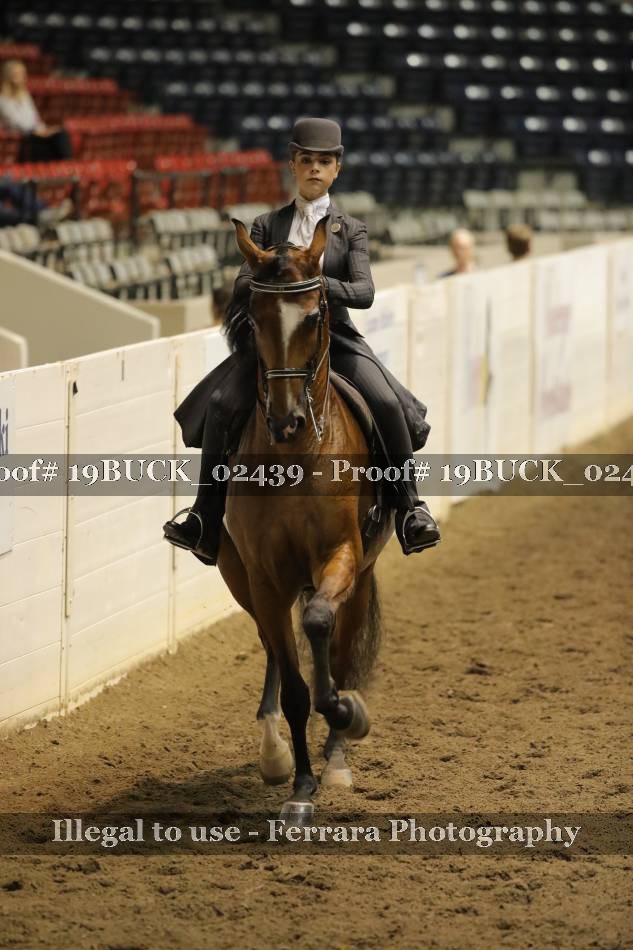 Proof 19BUCK_02439