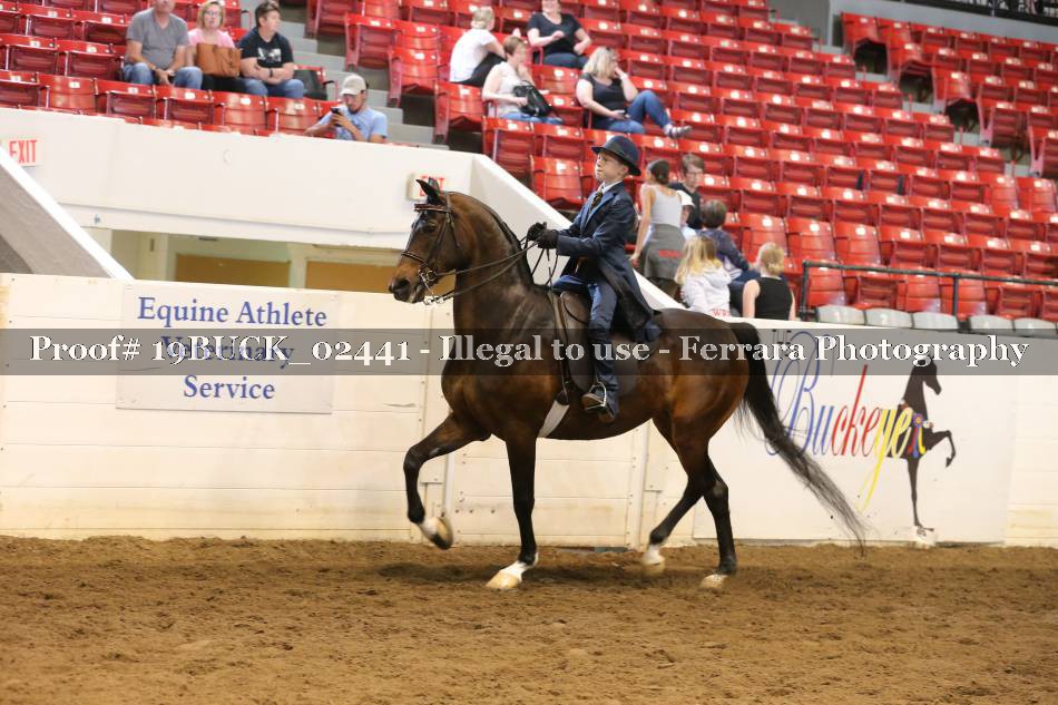 Proof 19BUCK_02441