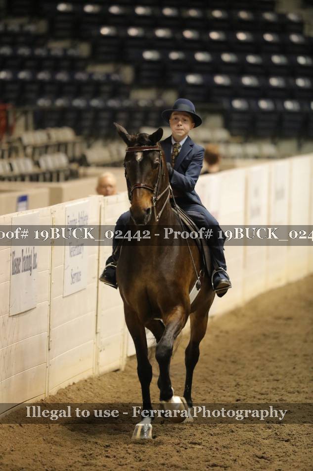 Proof 19BUCK_02442