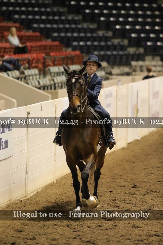 Proof 19BUCK_02443