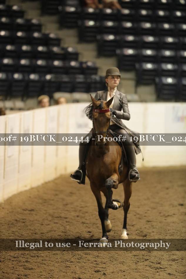 Proof 19BUCK_02444