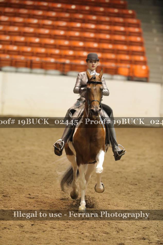 Proof 19BUCK_02445