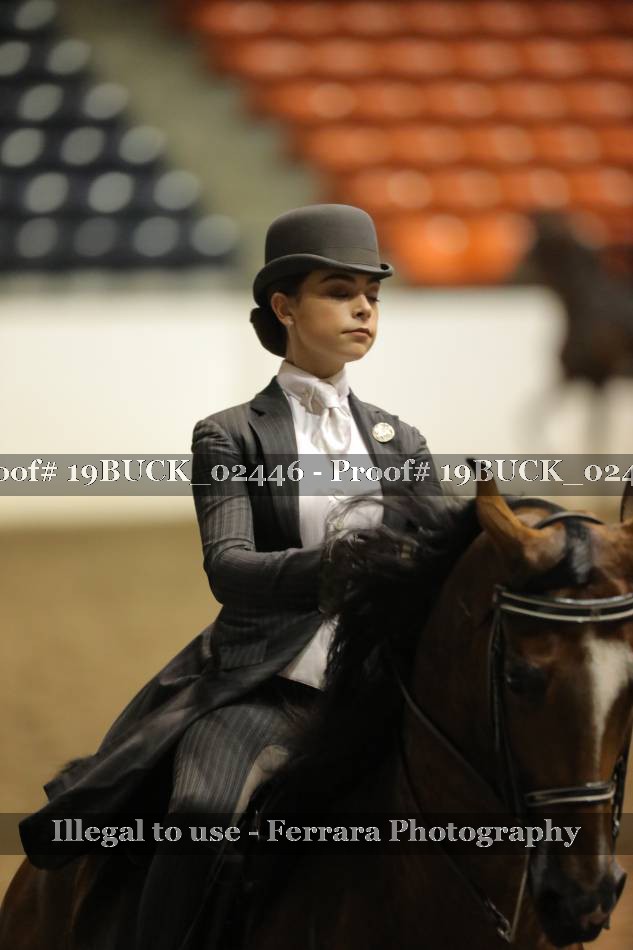 Proof 19BUCK_02446