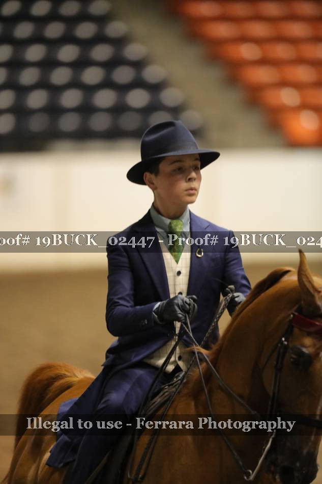 Proof 19BUCK_02447