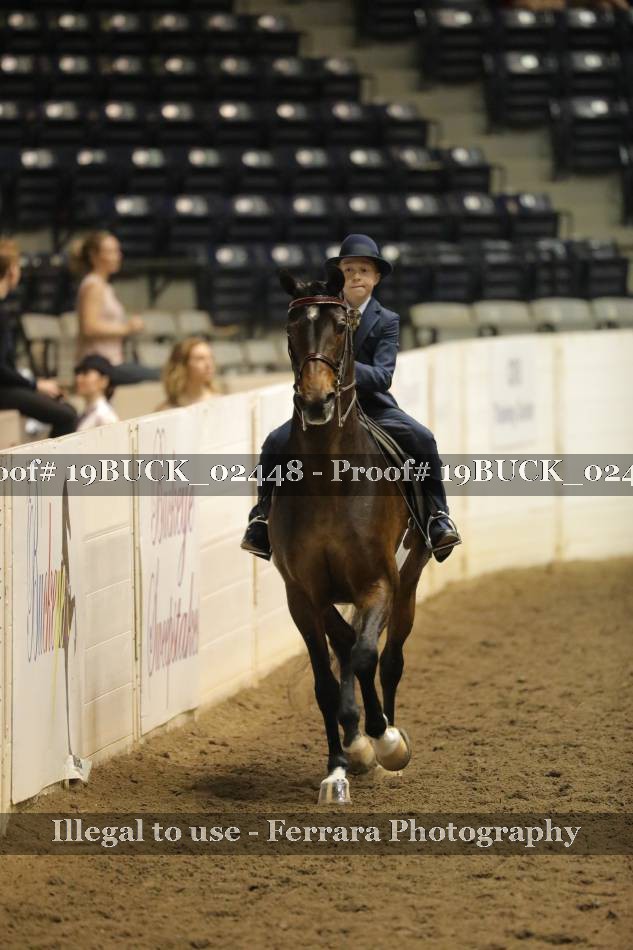 Proof 19BUCK_02448