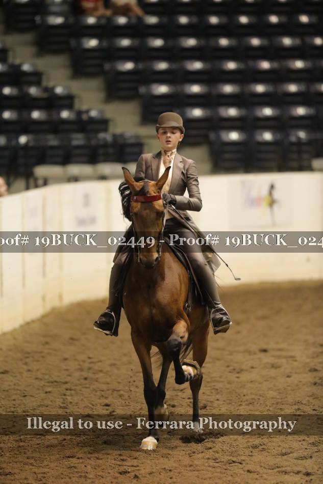 Proof 19BUCK_02449