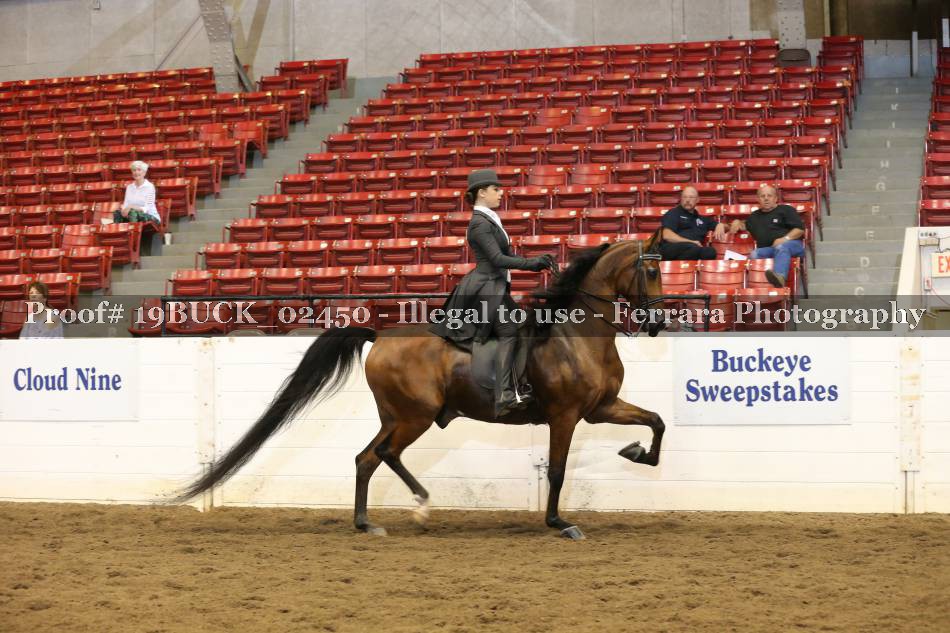 Proof 19BUCK_02450