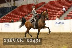 19BUCK_02451 proof