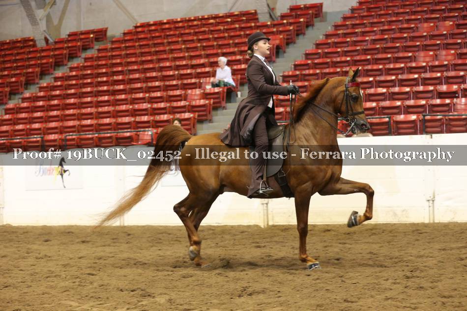 Proof 19BUCK_02452
