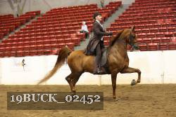 19BUCK_02452 proof