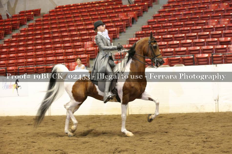 Proof 19BUCK_02453