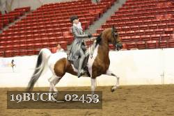 19BUCK_02453 proof