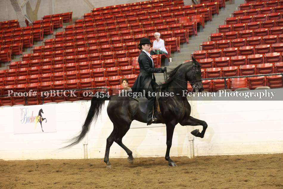 Proof 19BUCK_02454