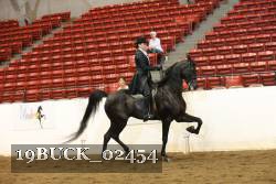 19BUCK_02454 proof