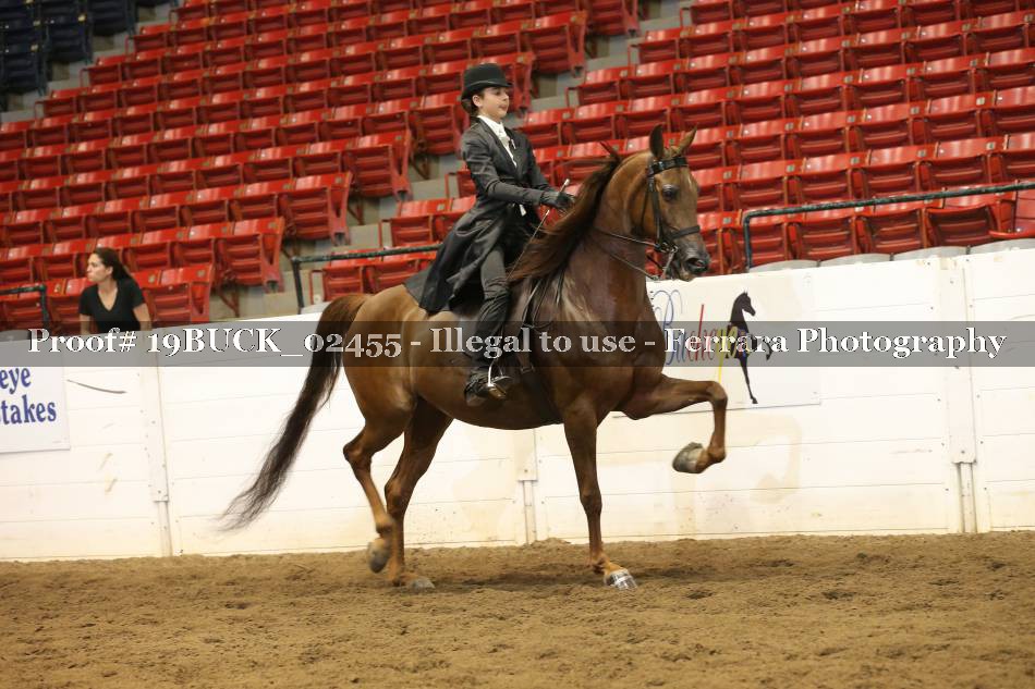 Proof 19BUCK_02455