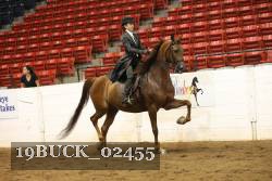 19BUCK_02455 proof