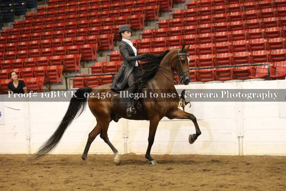 Proof 19BUCK_02456