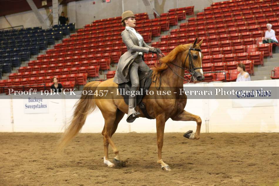 Proof 19BUCK_02457