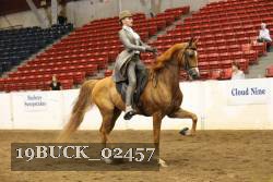 19BUCK_02457 proof