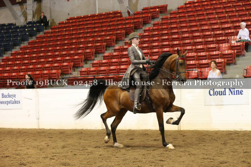 Proof 19BUCK_02458