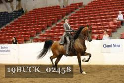 19BUCK_02458 proof