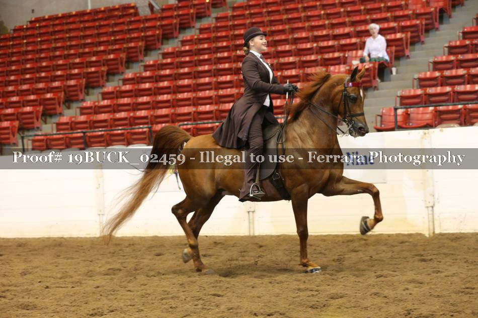 Proof 19BUCK_02459