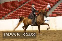 19BUCK_02459 proof
