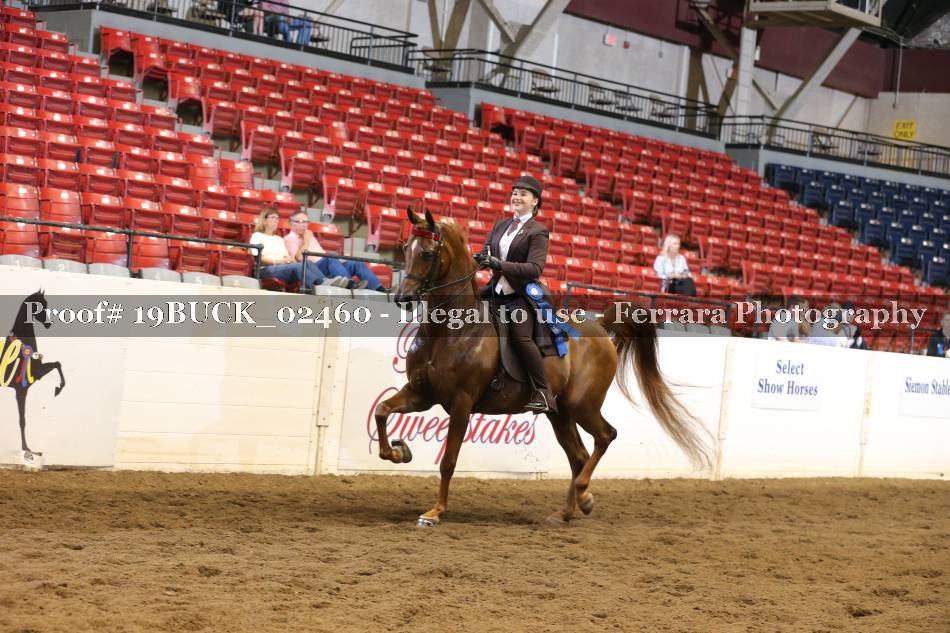 Proof 19BUCK_02460