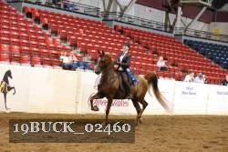 19BUCK_02460 proof