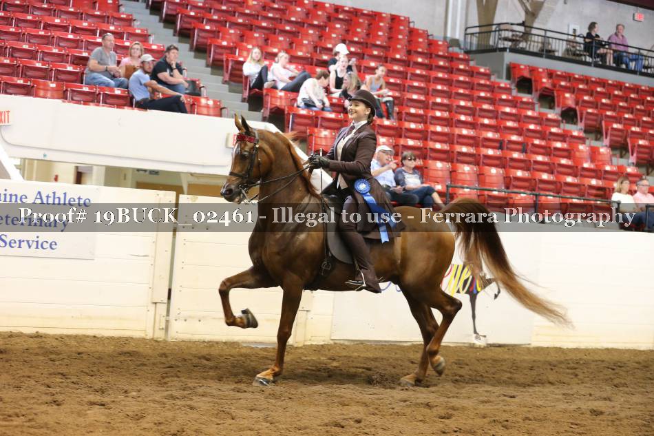 Proof 19BUCK_02461