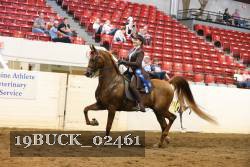19BUCK_02461 proof