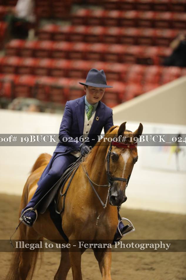 Proof 19BUCK_02462