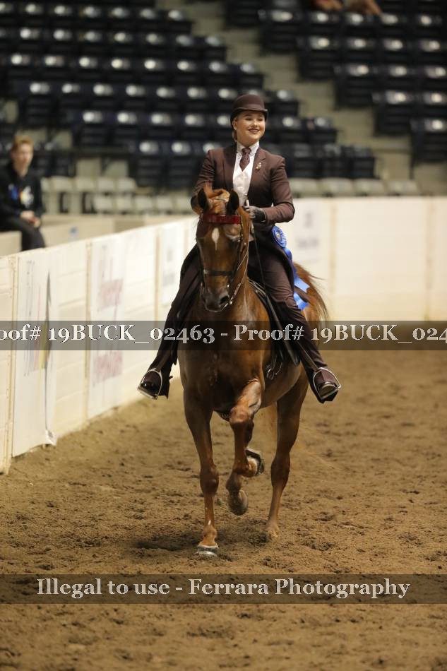 Proof 19BUCK_02463