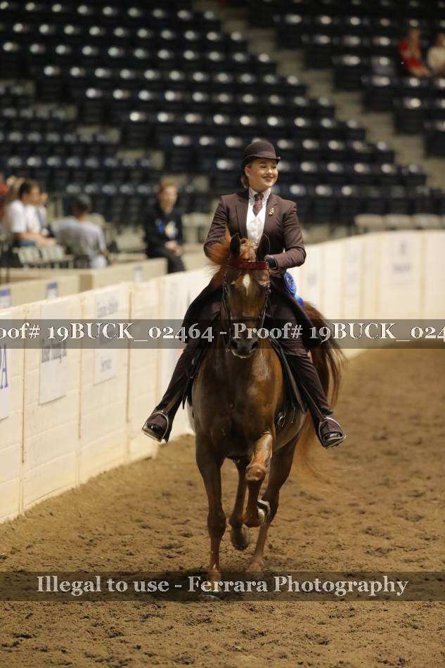Proof 19BUCK_02464