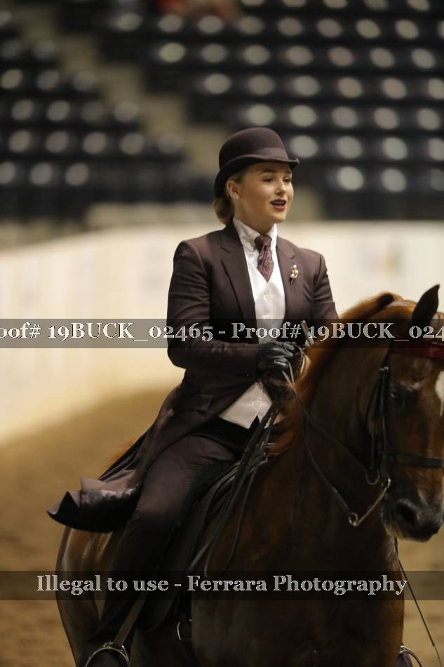 Proof 19BUCK_02465