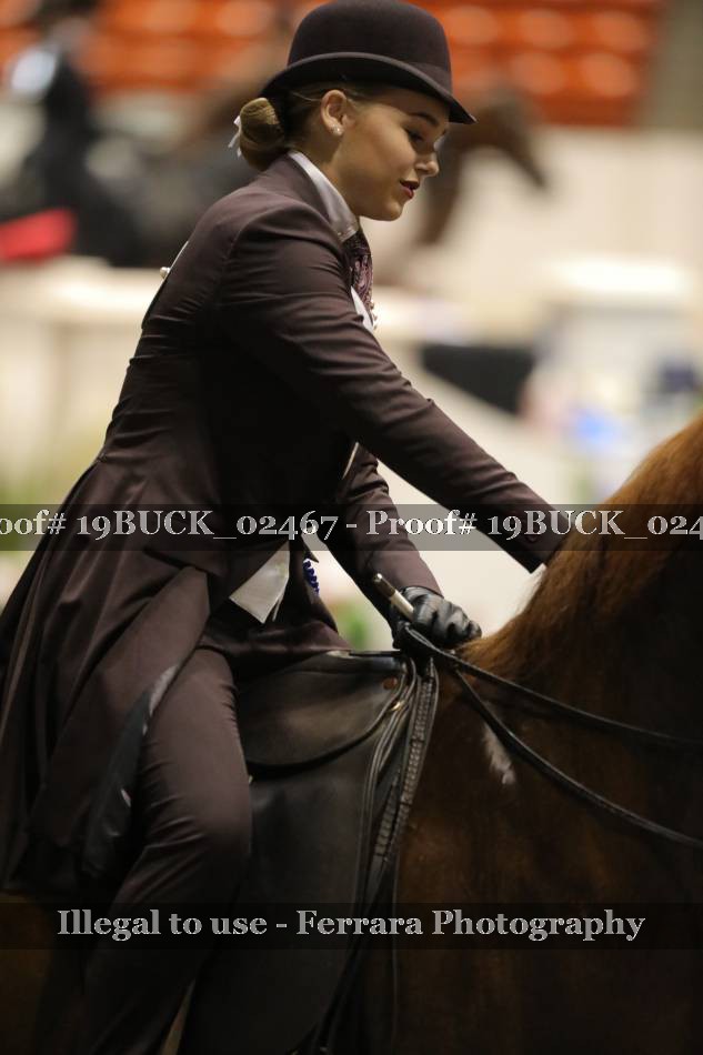 Proof 19BUCK_02467