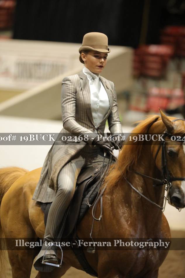 Proof 19BUCK_02468